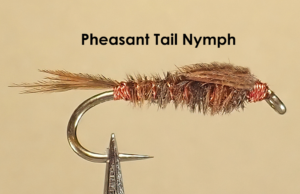 #2 - Pheasant Tail Nymph