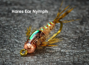 #3 - Gold Ribbed Hairs Ear Nymph