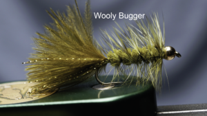 #5 - Wooly Bugger