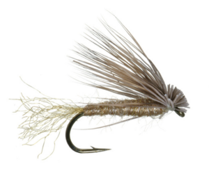 #4 - X Caddis