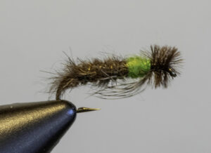 08- Peeping Caddis for Fast Water