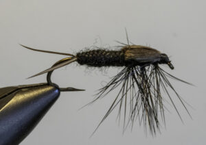 11- Box Canyon Stonefly Nymph